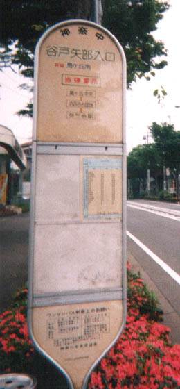 �J�˖����