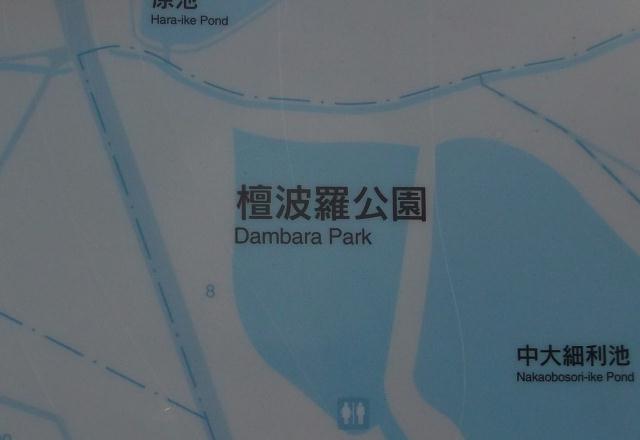 �_���o�������O