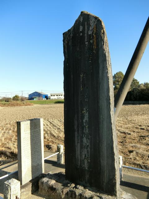 ���R�Ό�����̔�