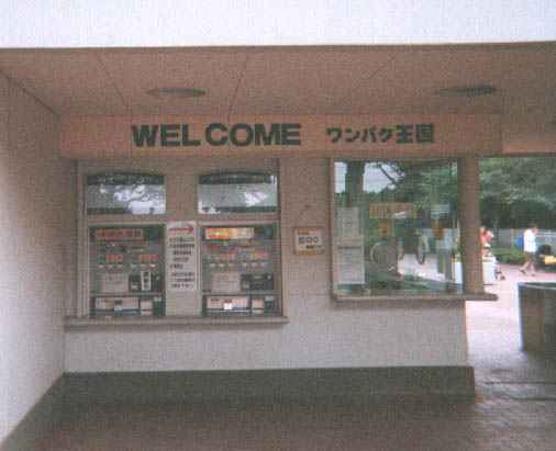 �����p�N��������