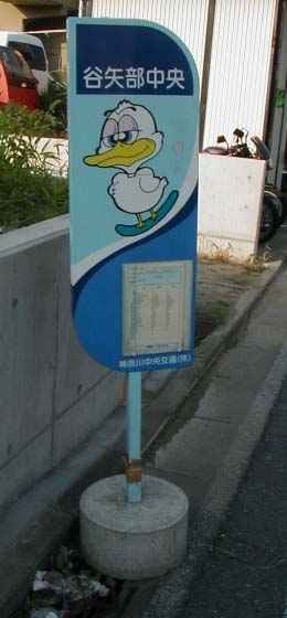 �J�����