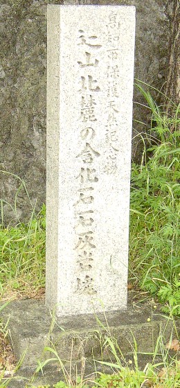 �V�R�L�O��