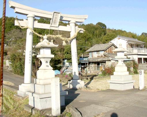 �����_��